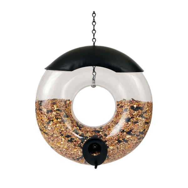 Emjeez Mart Donut Bird seed Feeder with Premium Seeds - Pack (6)